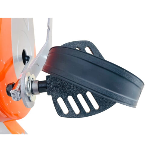 Xe Đạp Tập Lifesport LS-206